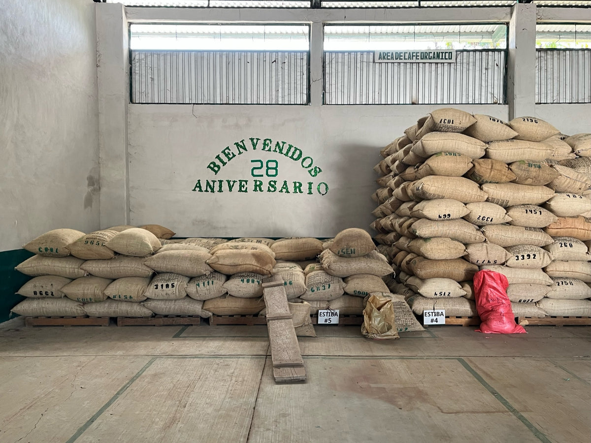 Sierra Madre Roast Café Mam