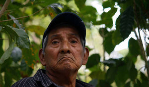 Coffee farmer in Chiapas, Mexico. 