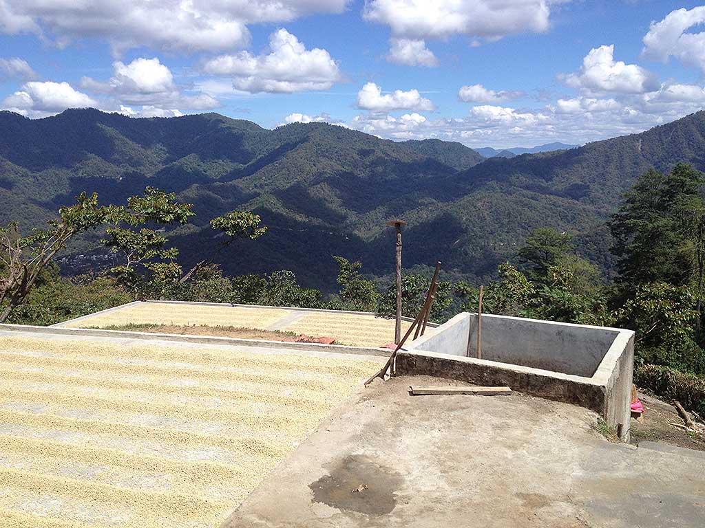 Sierra Madre Roast