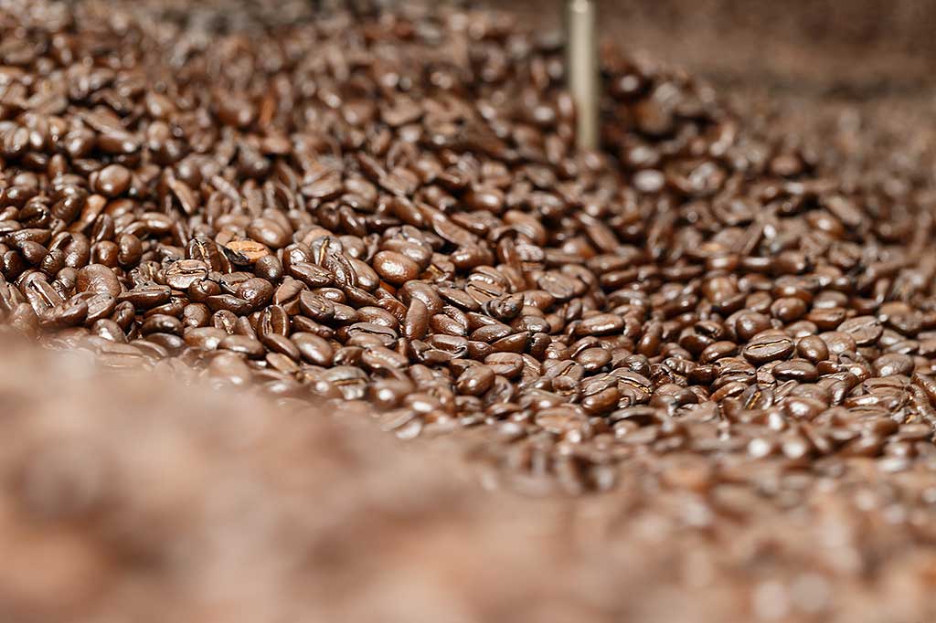 Organic, fair trade, sustainable, shade-grown, and bird-friendly coffee. Roasted in the Pacific Northwest.