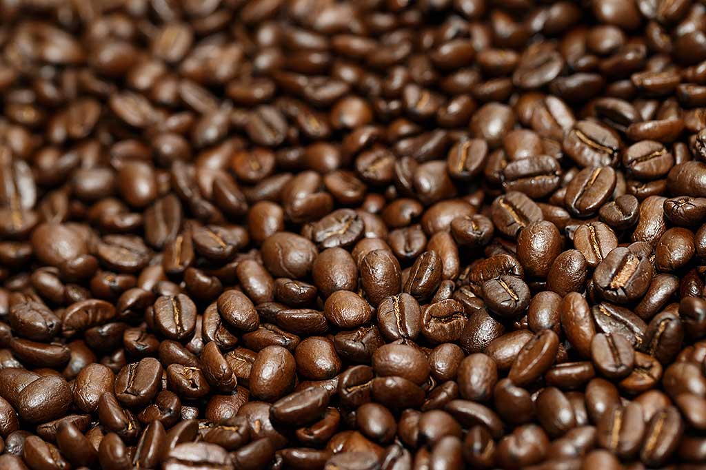 Organic, fair trade, sustainable, shade-grown, and bird-friendly coffee. Roasted in the Pacific Northwest.