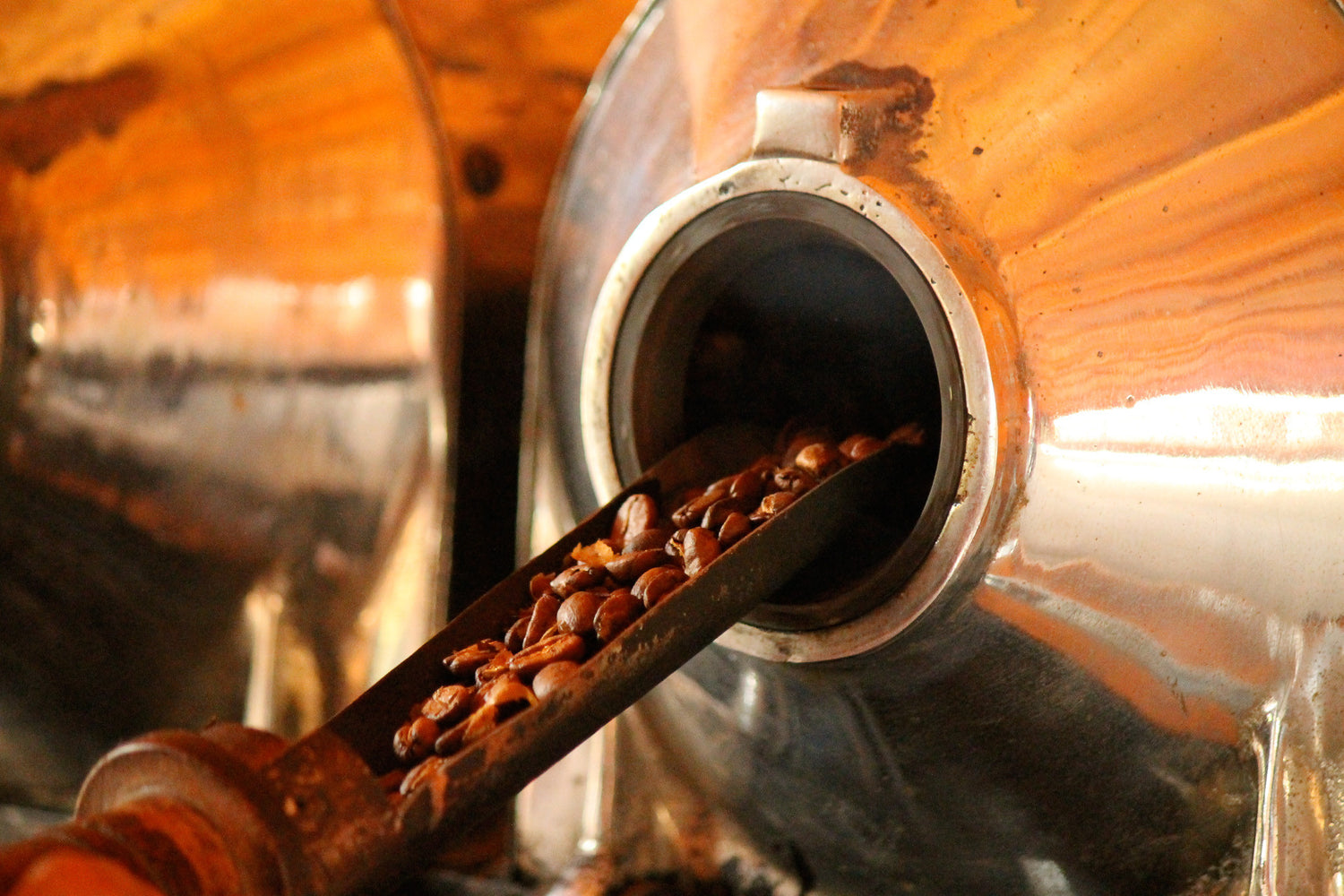 French Roast