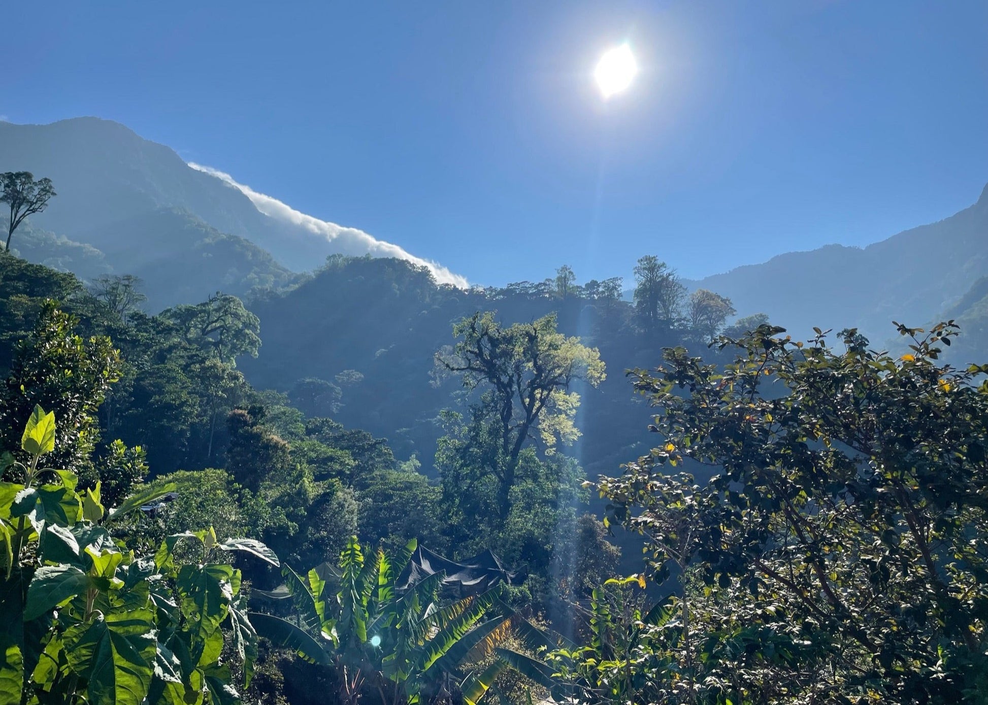 Sierra Madre Roast