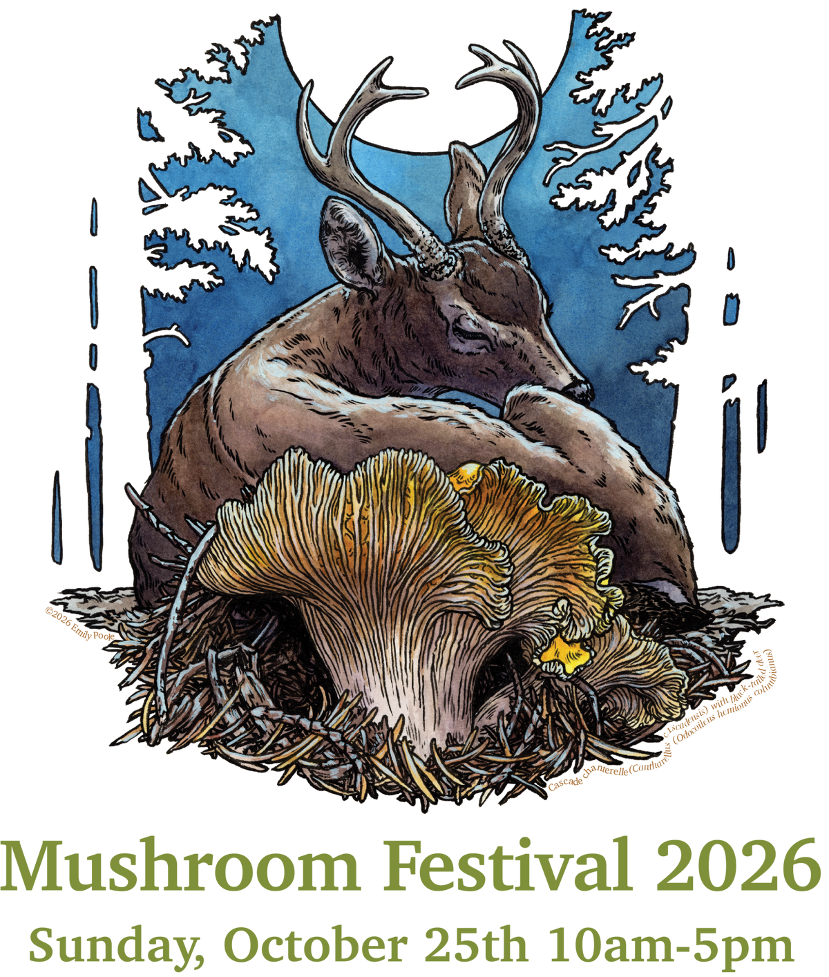 Mushroom_Festival_2026