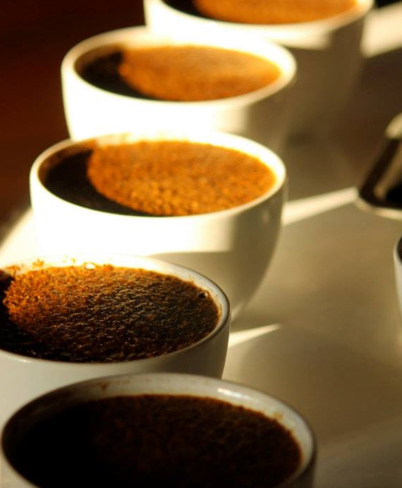 Close-up of several white cups filled with dark coffee on a reflective surface.