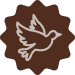 Cultivated under natural forest canopy, preserving wildlife habitats and enhancing flavor complexity.