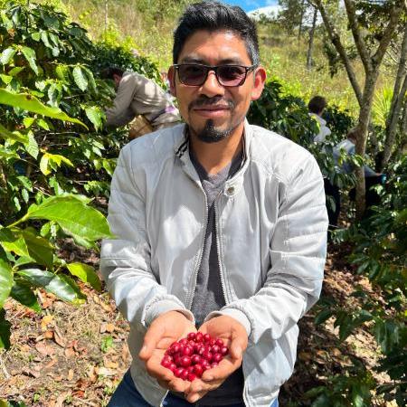 1/2 Regular & 1/2 Decaf Sierra Madre Roast
