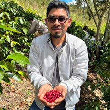 Load image into Gallery viewer, 1/2 Regular &amp; 1/2 Decaf Sierra Madre Roast

