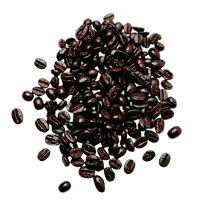 Pile of black sunflower seeds on a white background
