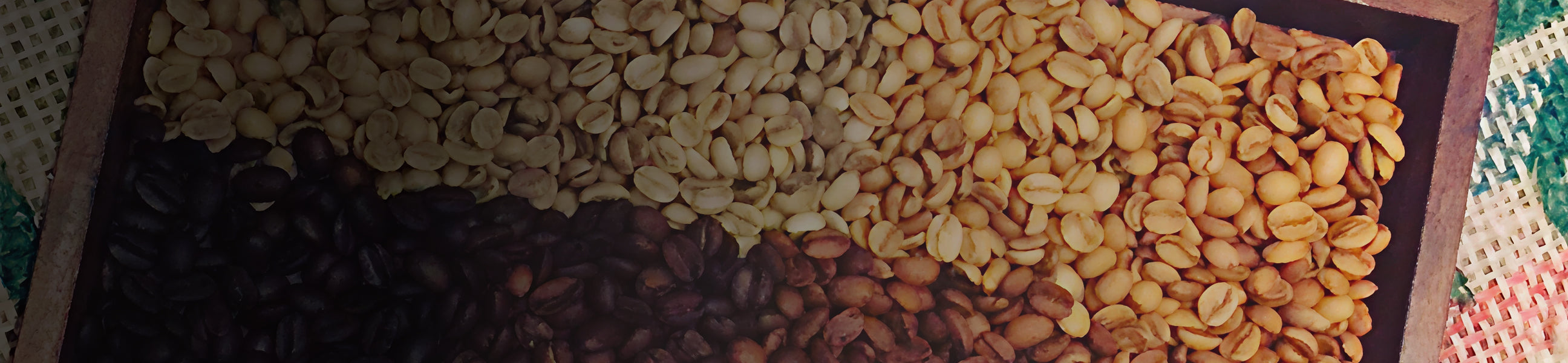 Three types of coffee beans on a wooden surface