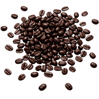 Coffee beans on a white background