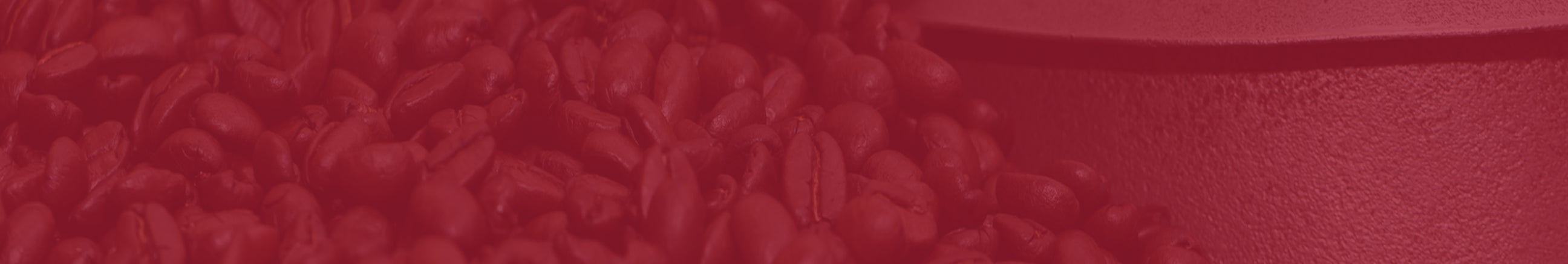Close-up of coffee beans on a textured surface