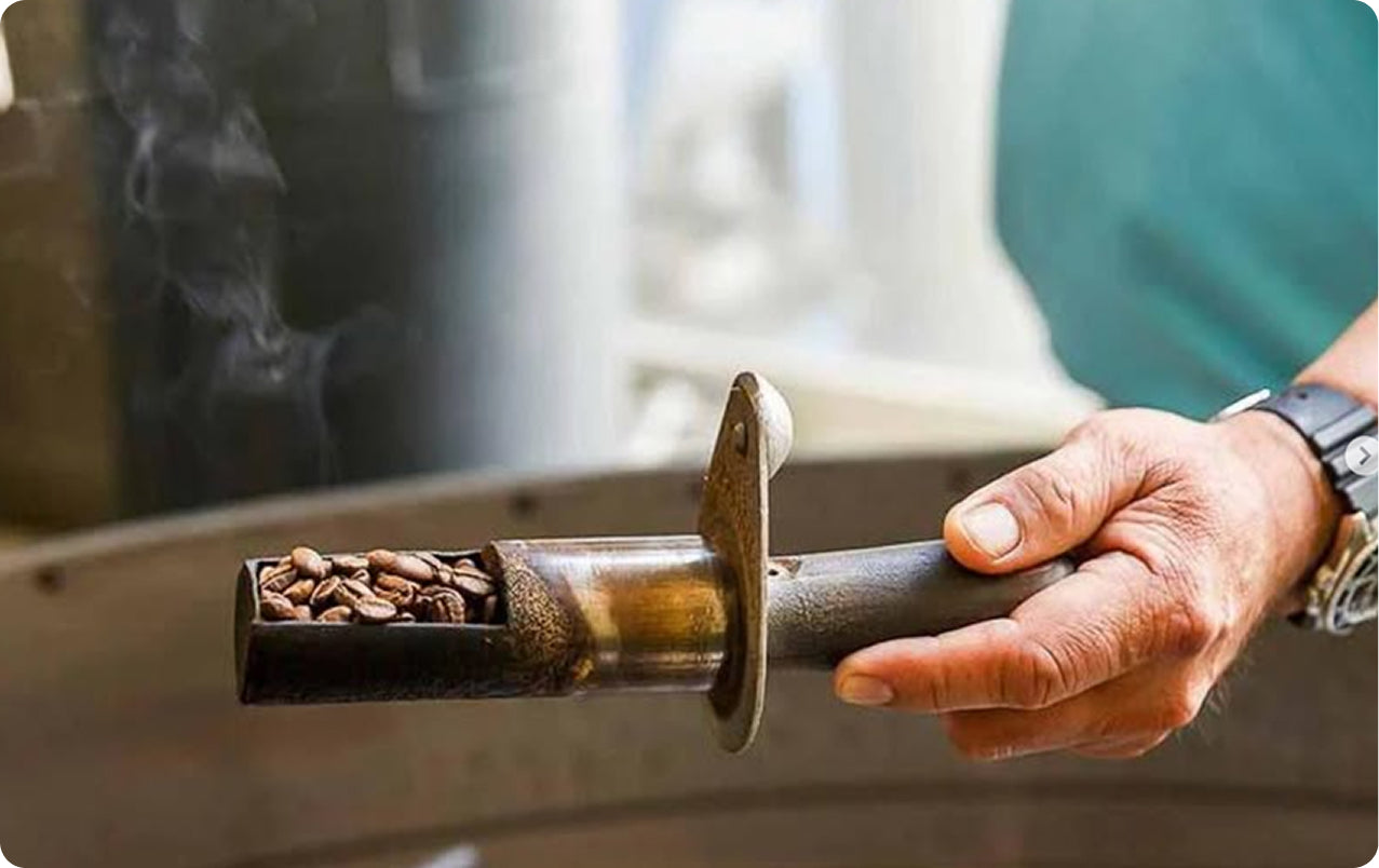 Hand holding a coffee grinder with coffee beans inside, blurred background