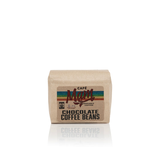 Chocolate Covered Coffee Beans