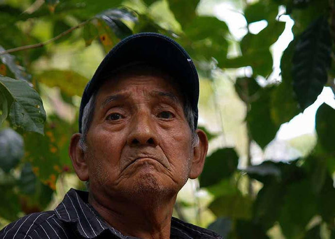 Coffee farmer in Chiapas, Mexico. 