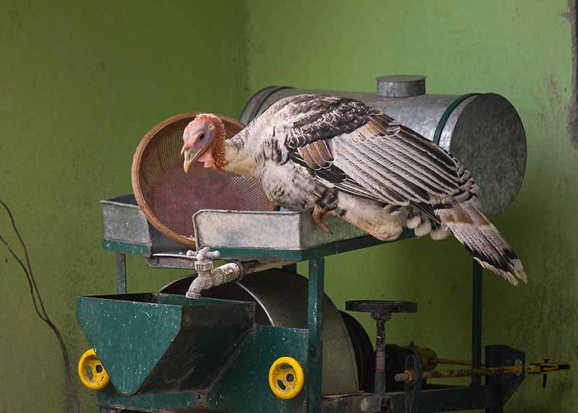 Community. 