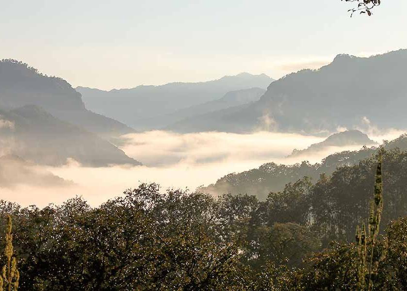 Highlands of Chiapas, Mexico, where Café Mam organic, fair trade coffee is grown.