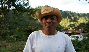 Organic coffee farmer. Fair trade coffee beans from cooperatives in Chiapas, Mexico. 