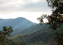 Highands of Chiapas, Mexico where our coffee is grown. 
