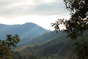 Highands of Chiapas, Mexico where our coffee is grown. 