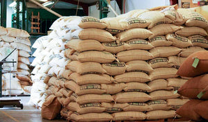 Bags of organic coffee beans. Fair trade single origin coffee form Chiapas, Mexico. 