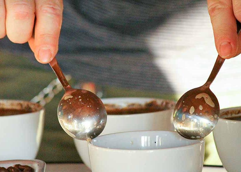 Coffee cupping. 