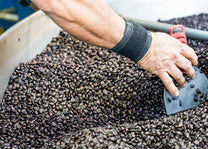 Fresh-roasted, organic, fair trade, shade-grown coffee.